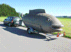 IMG_2441.JPG IMG_2441.JPG