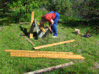IMG_2445.JPG IMG_2445.JPG